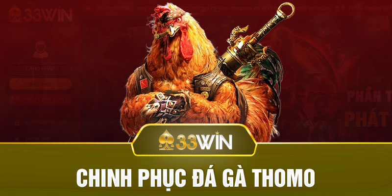Chinh phục đá gà Thomo tại 33WIN