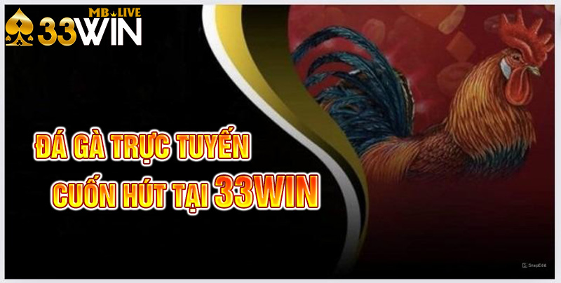 Đá Gà Online 33win - Sân Chơi Chiến Kê Hấp Dẫn Chất Lượng