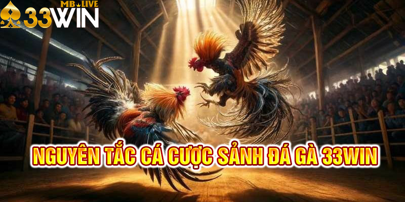 Các nội quy cần tuân thủ tại đá gà online 33win